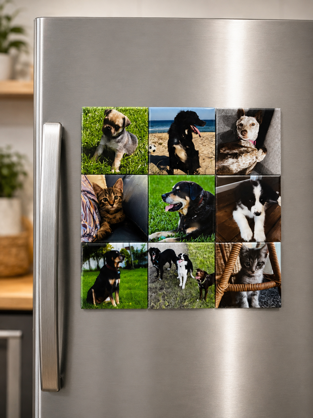 Photo Magnets | Square Bundle